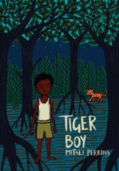 Tiger Boy (ISBN: 9781580896610)