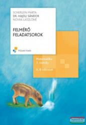 Felmérő feladatsorok. Matematika 3. osztály MK-4312-1 (2009)