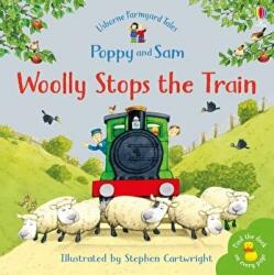 Woolly Stops the Train - Heather Amery (ISBN: 9780746063064)