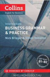 Business Grammar and Practice - Nick Brieger (ISBN: 9780007420575)