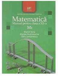 Manual de matematica, pentru clasa a 12-a, Profil M1 - Marian Andronache (2010)
