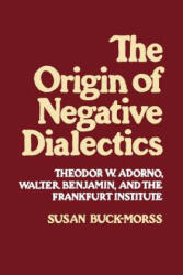 Origin of Negative Dialectics - Susan Buck-Morss (ISBN: 9780029051504)
