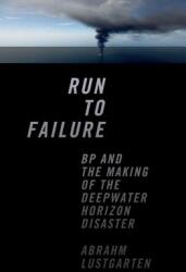 Run to Failure: BP and the Making of the Deepwater Horizon Disaster (ISBN: 9780393081626)