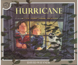 Hurricane - David Wiesner (ISBN: 9780395629741)