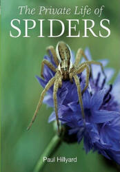 Private Life of Spiders - Paul Hillyard (ISBN: 9780691150031)