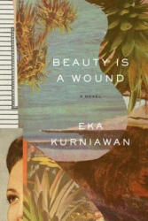 Beauty Is a Wound (ISBN: 9780811223638)