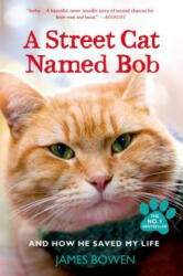 Street Cat Named Bob - James Bowen (ISBN: 9781250048677)