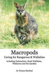 Macropods - Caring for Kangaroos and Wallabies - Donna Racheal (ISBN: 9781320184076)
