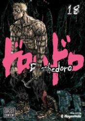 Dorohedoro, Vol. 18 - Q Hayashida (ISBN: 9781421577975)