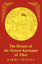 History of 16 Karmapas - Karma Thinley, David Stott, Namkha Tashi (ISBN: 9781570626449)