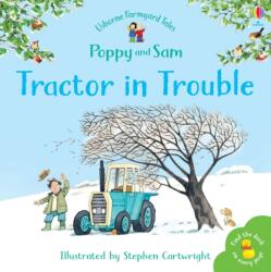 Tractor In Trouble (ISBN: 9780746063071)
