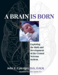 Brain Is Born - John E. Upledger (ISBN: 9781583943014)