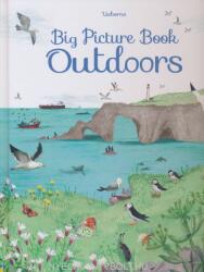 Big Picture Book Outdoors (ISBN: 9781409598732)