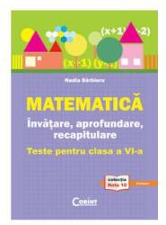 Matematică. Învăţare, aprofundare, recapitulare. teste pentru clasa a VI-a (2011)