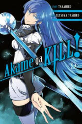 Akame Ga Kill! Volume 9 (2017)