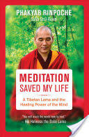 Meditation Saved My Life: A Tibetan Lama and the Healing Power of the Mind (2017)