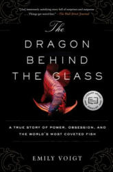 Dragon Behind the Glass - Emily Voigt (2017)