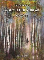 Gyolcsfehér nyírfák között (ISBN: 9786155290084)