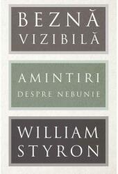 Beznă vizibilă (ISBN: 9786067104585)