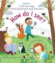 First Questions and Answers: How do I see? - Katie Daynes (ISBN: 9781474917926)