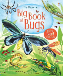 Big Book of Bugs - Emily Bone (ISBN: 9781474928960)