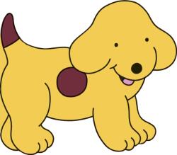 All About Spot (2017)