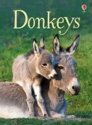 Usborne Beginners - Donkeys (2017)