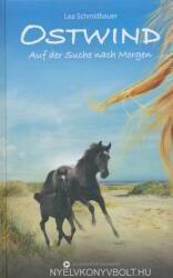 Ostwind - Auf der Suche nach Morgen - Lea Schmidbauer (ISBN: 9783940919120)