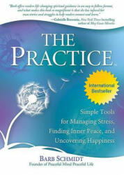 Practice - Barb Schmidt (ISBN: 9780757317989)