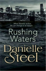 Rushing Waters - Danielle Steel (ISBN: 9780552166362)