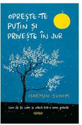 Opreste-te putin si priveste in jur - Haemin Sunim (ISBN: 9786067890747)