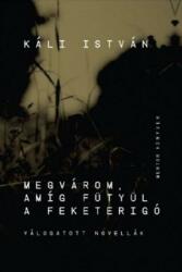 MEGVÁROM, AMÍG FÜTYÜL A FEKETERIGÓ (ISBN: 9786068861043)