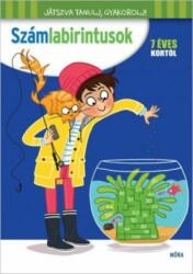 Wilfrid Payet: Számlabirintusok 7 éves kortól könyv (ISBN: 9789634157380)