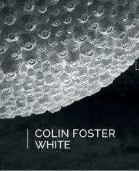 COLIN FOSTER: WHITE (ISBN: 9789630989626)