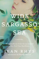 Wide Sargasso Sea - Jean Rhys, Edwidge Danticat (ISBN: 9780393352566)