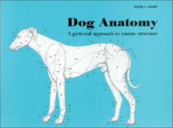 Dog Anatomy - Peter Goody (1998)