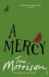 A Mercy (2009)