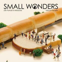 Small Wonders: Life Portrait in Miniature - Tatsuya Tanaka (ISBN: 9784865050776)