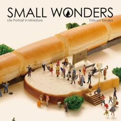Small Wonders (ISBN: 9784865050776)