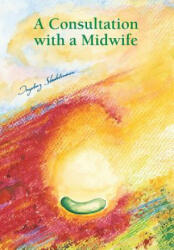 Consultation with a Midwife - Ingeborg Stadelmann (ISBN: 9783943793000)