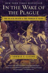 In the Wake of the Plague - Norman F. Cantor (ISBN: 9781476797748)