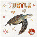 Turtle (ISBN: 9781786373793)