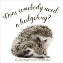 Does Somebody Need a Hedgehug? (ISBN: 9781423648109)
