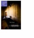 Copiii pierduti - Peter Straub (ISBN: 9789737333032)