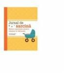Jurnal de sarcina. Sfaturi esentiale pentru mamici in devenire - Ziba Kashef (ISBN: 9789731246185)