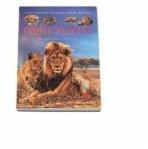Fiarele Salbatice pe intelesul copiilor - Enciclopedia animalelor in imagini - Editie Cartonata - Emilie Beaumont (ISBN: 9789738862296)
