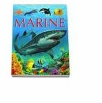Animale marine pe intelesul copiilor - Enciclopedia animalelor in imagini - Editie cartonata - Emilie Beaumont (ISBN: 9789738862234)