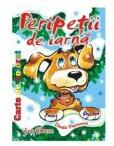 Peripetii de iarna - Claudia Stupineanu (ISBN: 9789737067586)