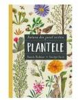 Plantele - Pamela Hickman (ISBN: 9786069119631)
