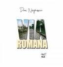 Via Romana - Dan Negrescu (ISBN: 9789731256788)